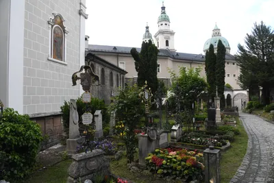 DSC_6354 (Large).JPG